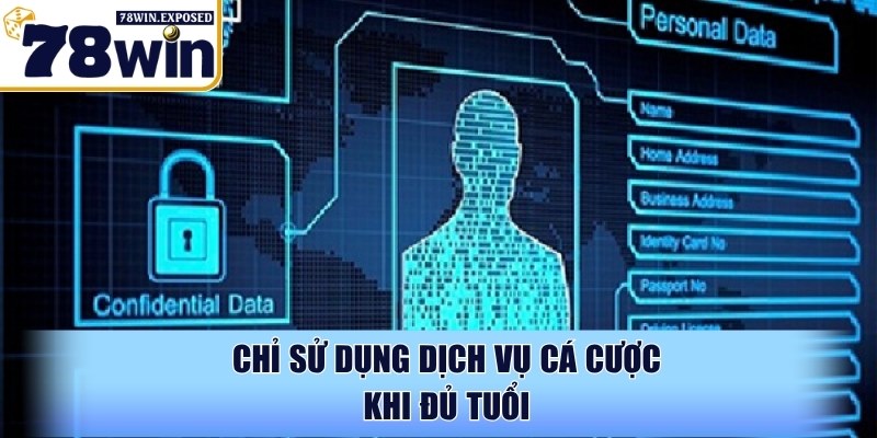 Chơi có trách nhiệm và các quy định mới nhất tại 78WIN 1 Chỉ sử dụng dịch vụ cá cược khi đủ tuổi