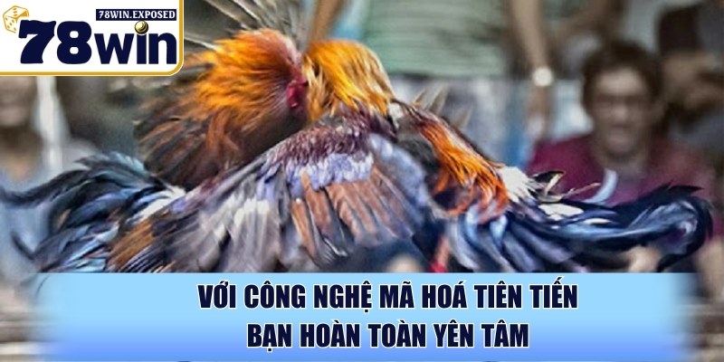 Đá Gà 78WIN - Mang tới chất lượng phát sóng sắc nét 3 Với công nghệ mã hoá tiên tiến bạn hoàn toàn yên tâm