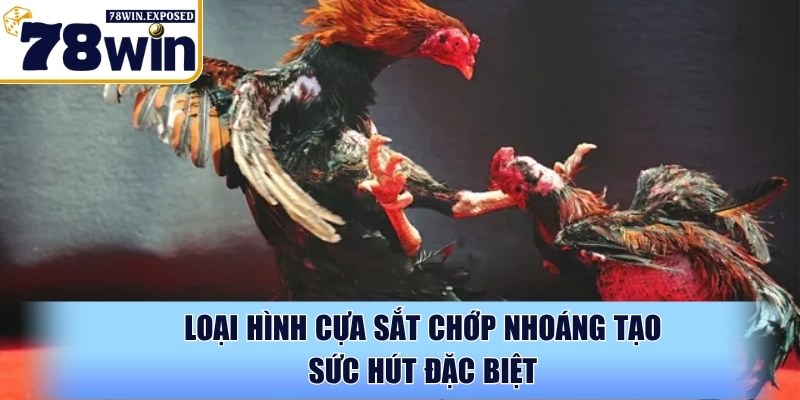 Đá gà trực tiếp Thomo 67 - Cực đỉnh cùng đấu trường 78WIN 3 Loại hình cựa sắt chớp nhoáng tạo sức hút đặc biệt