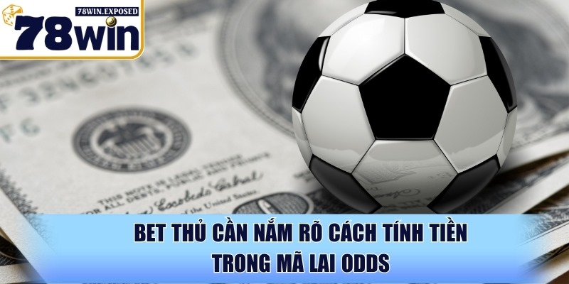 Kèo Malaysia là gì? Hướng dẫn cách đọc và tính kèo dễ hiểu 3 Bet thủ cần nắm rõ cách tính tiền trong Mã Lai odds