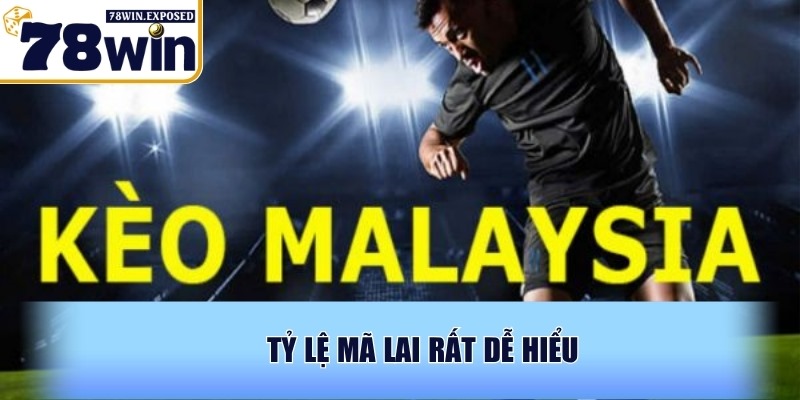 Kèo Malaysia là gì? Hướng dẫn cách đọc và tính kèo dễ hiểu 2 Tỷ lệ Mã Lai rất dễ hiểu
