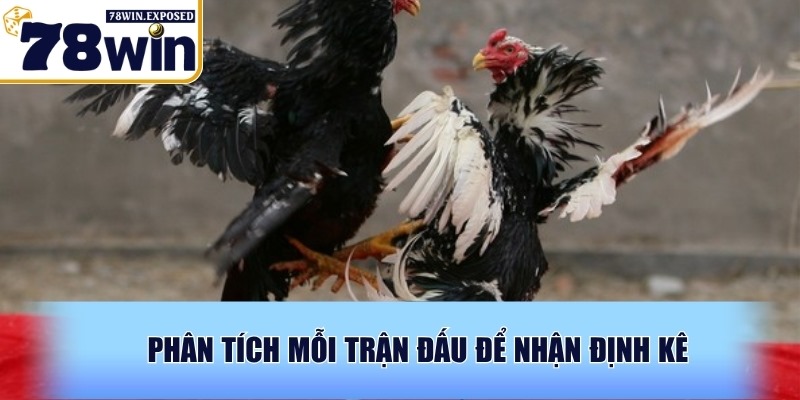 Màu mạng gà đá là gì? Cách chọn chuẩn xác từ chuyên gia 4 Phân tích mỗi trận đấu để nhận định kê