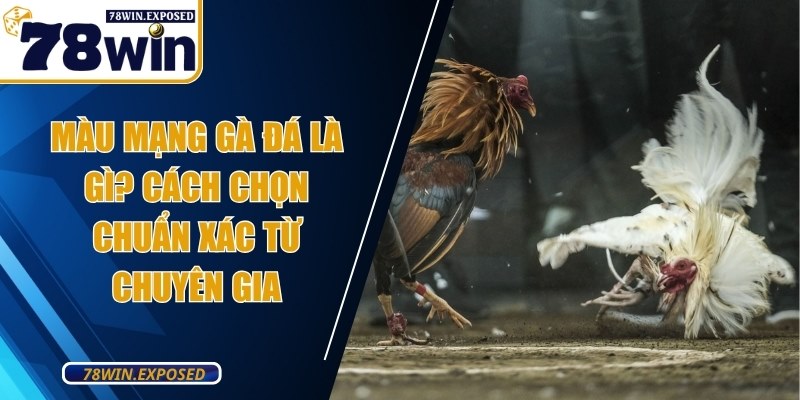 mau mang ga da