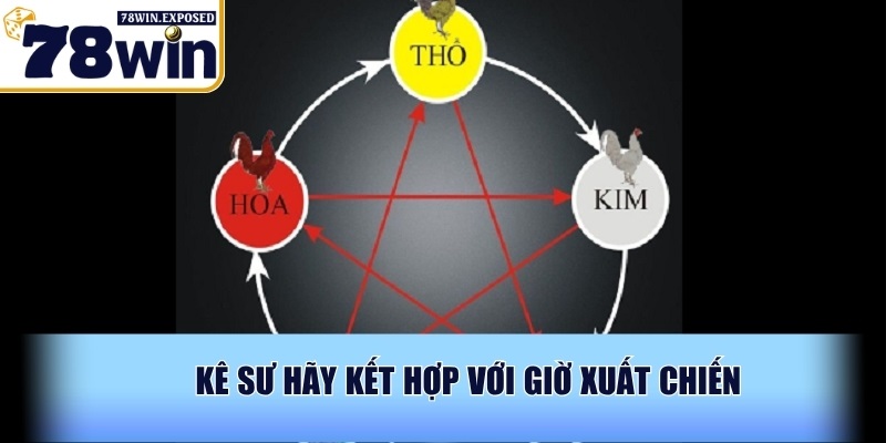 Xem ngày đá gà 78WIN chuẩn xác để nâng cao tỉ lệ chiến thắng 3 Kê sư hãy kết hợp với giờ xuất chiến