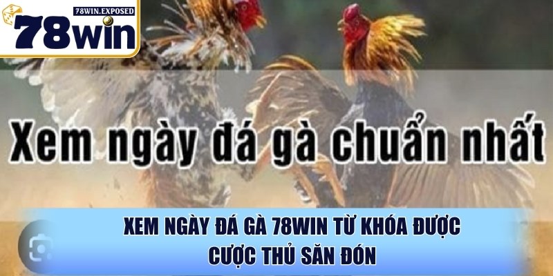 Xem ngày đá gà 78WIN chuẩn xác để nâng cao tỉ lệ chiến thắng 2 Xem ngày đá gà 78WIN từ khóa được cược thủ săn đón